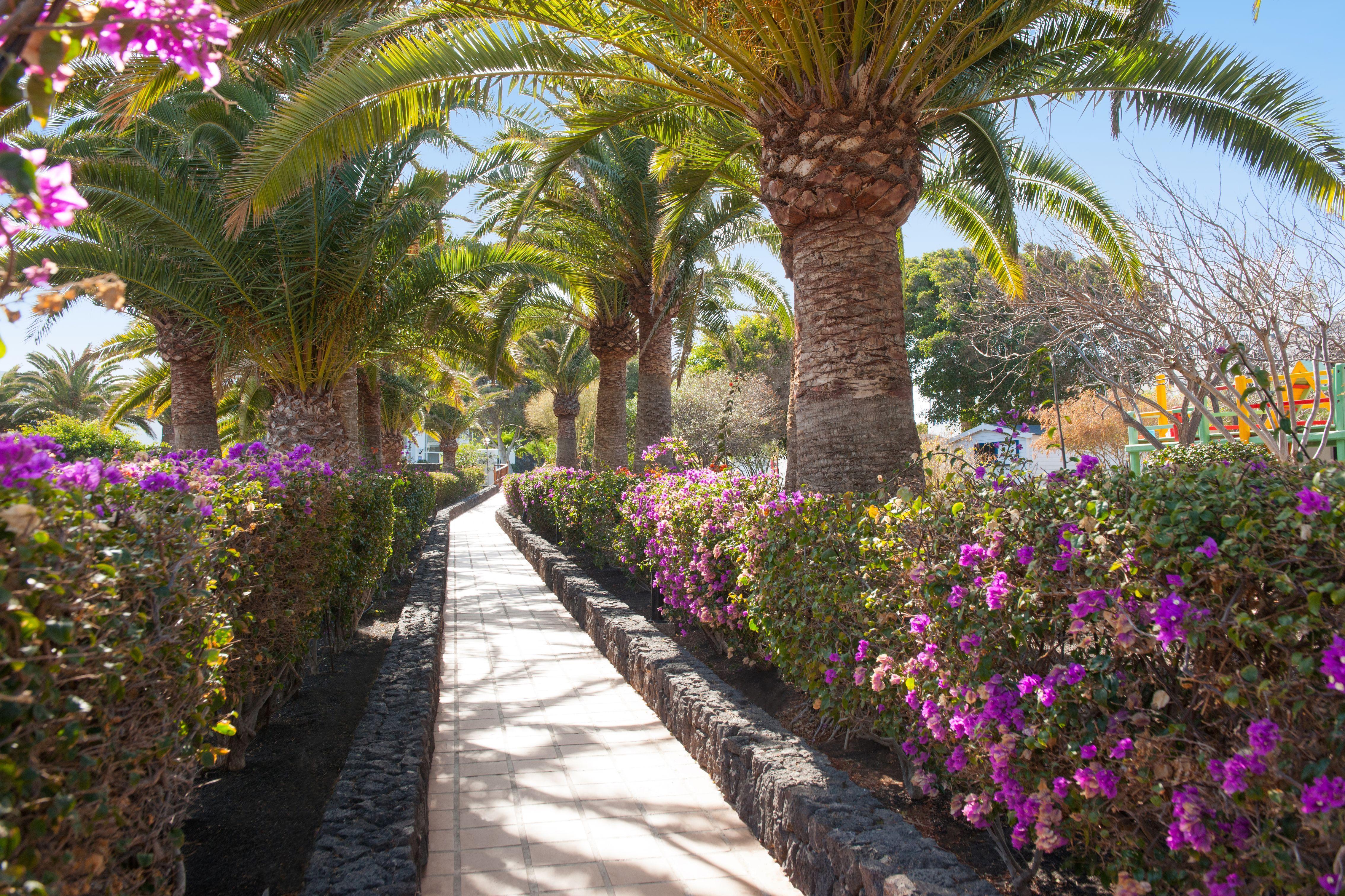 Relaxia Olivina Hotel Puerto del Carmen  Exterior photo